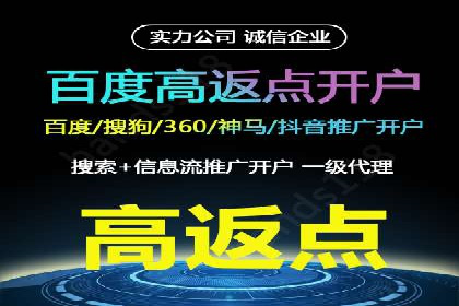 SEM搜索引擎优化策略解析与应用案例